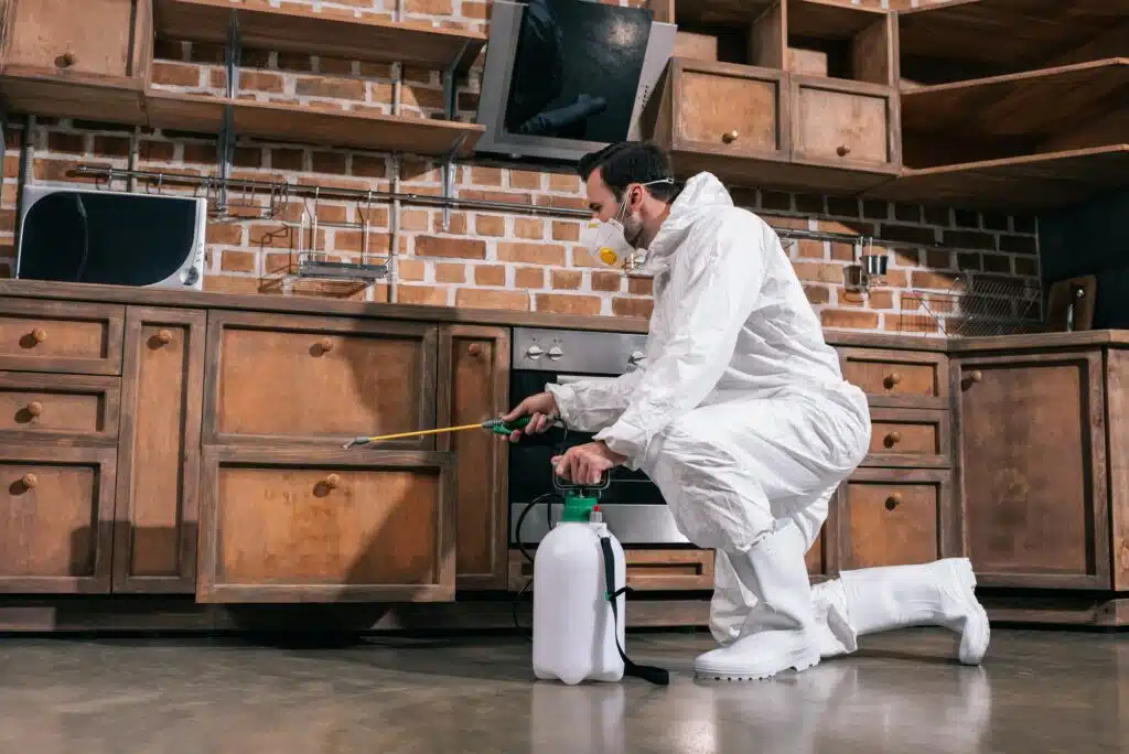 pest control worker spraying pesticides in cabinet in kitchen